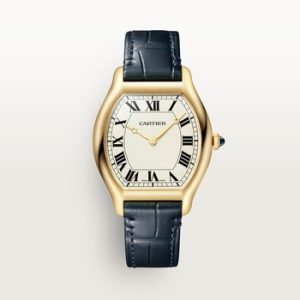 Tortue watch