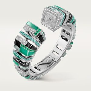 Reflection de Cartier watch