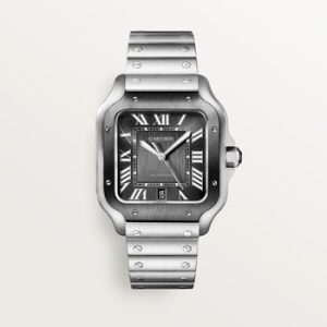 Santos de Cartier watch