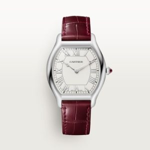 Tortue watch