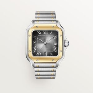 Santos de Cartier watch