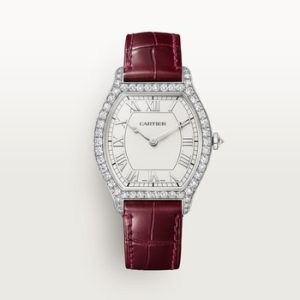 Tortue watch