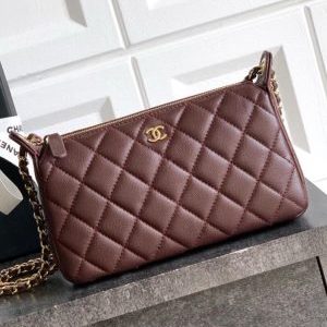 Chanel Coco Double Chain Pochette Bags 21cm