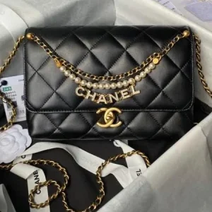 Chanel Coco Flap Bags Double Chain 23cm