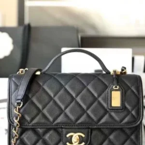Chanel Coco Handle Bags 25cm