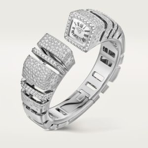 Reflection de Cartier watch (Size 15)