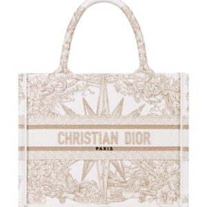 Christian Dior Small Dior Book Tote