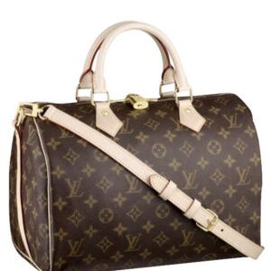 Louis Vuitton monogram speedy M40391 Brown