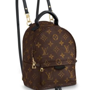 Louis Vuitton Monogram Palm Springs Backpack Mini Bag M41562 Brown