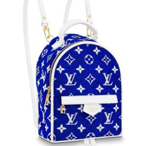 Louis Vuitton Palm Springs Mini M46207 Blue