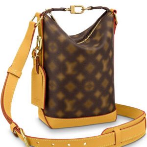 Louis Vuitton Hobo Cruiser PM Bag M46241 Brown