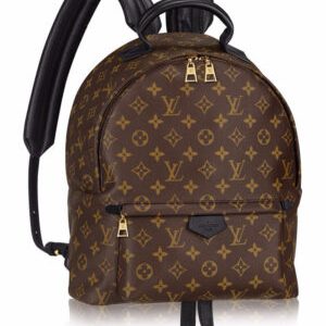 Louis vuitton Palm Springs Backpack PM M41560 Black