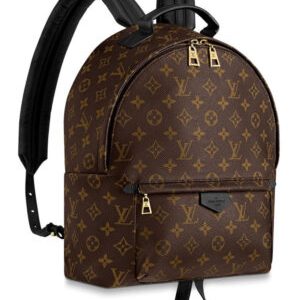 Louis vuitton Palm Springs Backpack MM M41561 Black