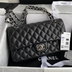Chanel Coco Classic Flap Bag 25cm