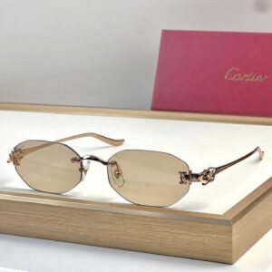 Gucci Women’s Sunglasses GG0654S