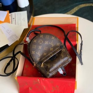 Louis Vuitton Palm Springs Backpack Mini Monogram M41562