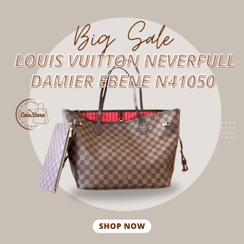 Louis Vuitton Neverfull Damier Ebene N41050