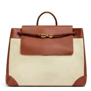 Bottega Veneta Large Andiamo Backpack Coffee