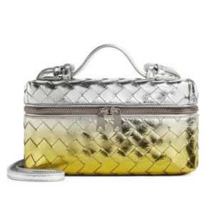 Bottega Veneta Bang Bang Vanity Case 789109 Silver