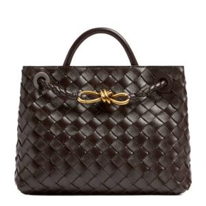 Bottega Veneta Small Andiamo