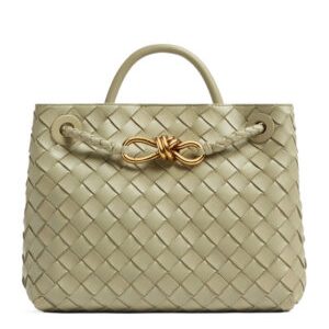 Bottega Veneta Small Andiamo