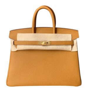 Hermes Birkin 25 Togo Leather Apricot