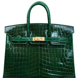 Hermes Birkin 25 Crocodile leather Green