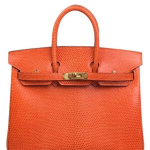 Hermes Birkin 25 Lizard leather Orange