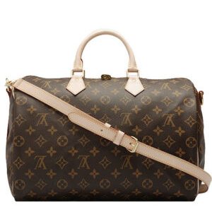 Louis Vuitton monogram speedy M40393 Brown