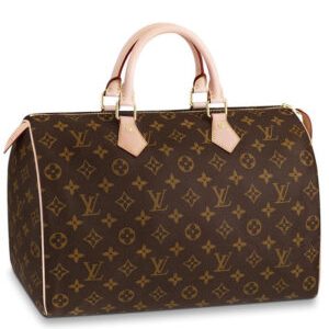 Louis Vuitton Speedy M41524 Brown