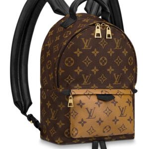 Louis Vuitton Palm Springs Pm M44870 Brown
