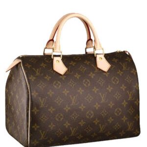Louis Vuitton Speedy M41526 Brown