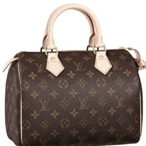 Louis Vuitton Speedy M41528 Brown