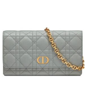 Christian Dior Caro Belt Pouch With Chain Gray