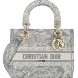 Christian Dior Medium Lady D-Lite Bag Gray