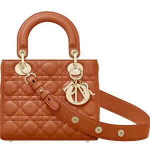 Christian Dior Lady Dior Bag 2017 Light Coffee