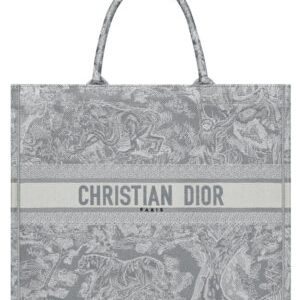 Christian Dior Book Tote Gray