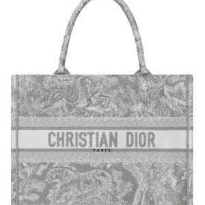 Christian Dior Small Dior Book Tote Gray