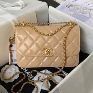 Chanel Classic Flap Bags 22cm