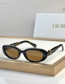 Dior Women's Sunglasses Oblique B1I