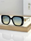 Dior Women's Sunglasses Oblique S1I